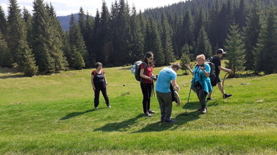 Krókuszokat sajnos már nem találtunk_FOTÓ Pál Gyöngyi