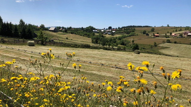 Virágligetek és szénabálák teszik még autentikusabbá az idilli tájat_FOTÓ Kismihály Boglárka