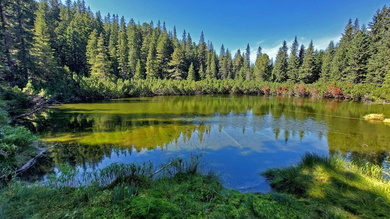 A sűrű fenyőerdőben bujkáló tavat különböző fényviszonyokban csodáltuk meg_FOTÓ Mezei Elemér