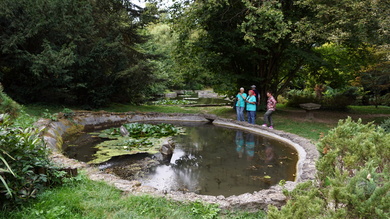Végül tettünk egy kis kitérőt Piskire, ahol megnéztük az arborétumot_FOTÓ Mezei Elemér