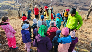 A Mikulás piros puttonya is előkerült a fák közül_FOTÓ Barabás Szabolcs