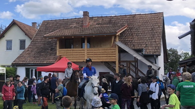 A bevonuló lovasok kétség kívül elvitték a show-t_FOTÓ Kismihály Boglárka