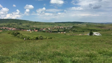 A bokorsor bal oldalán haladunk Nádaskóród felé