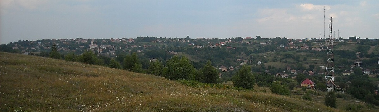 Felek