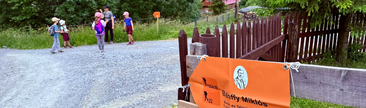 Útban a mamutfenyőhöz.