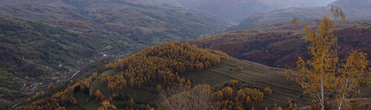 Ronki-szoros