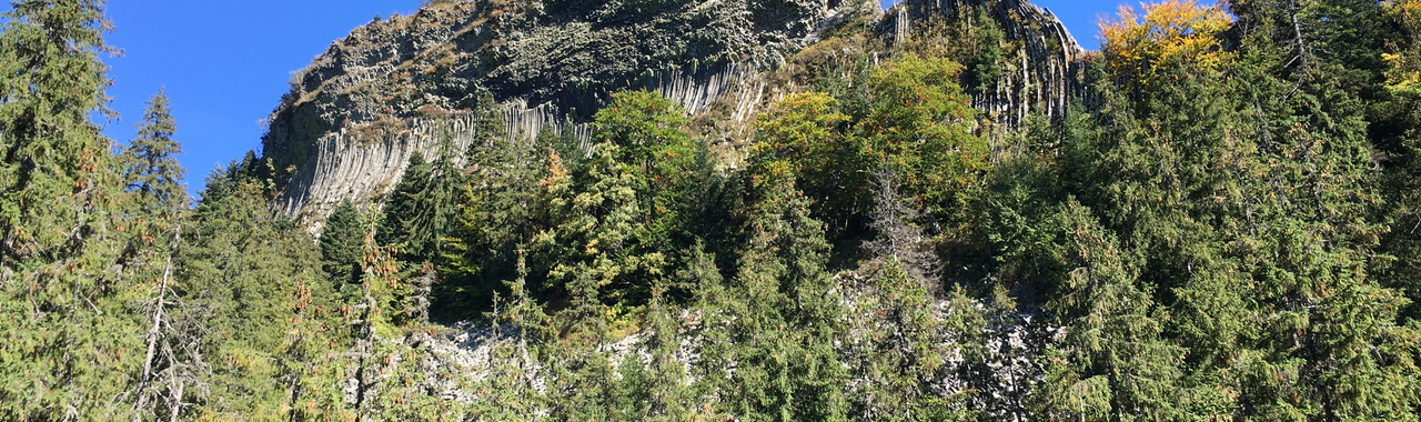 A Detonáta bazaltorgonái.