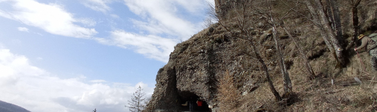 Maros-völgyi fatörzsbarlang 