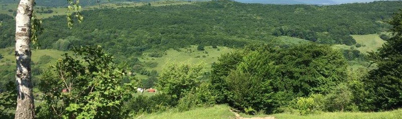 Pazar panoráma a Brüll-kilátóról