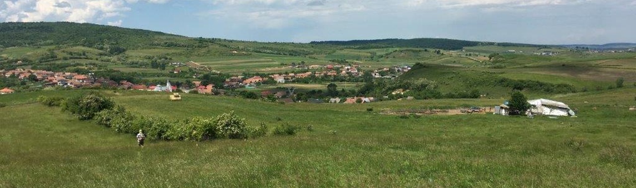 A bokorsor bal oldalán haladunk Nádaskóród felé