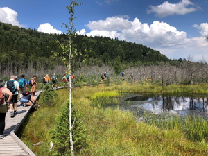 A Mohos-tőzegláp sötét vizű tószemei akár a 20 m mélységet is elérhetik, a tőzeg vastagsága peding helyenként 10 m_FOTÓ Kismihály Boglárka