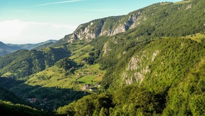 Bedellő