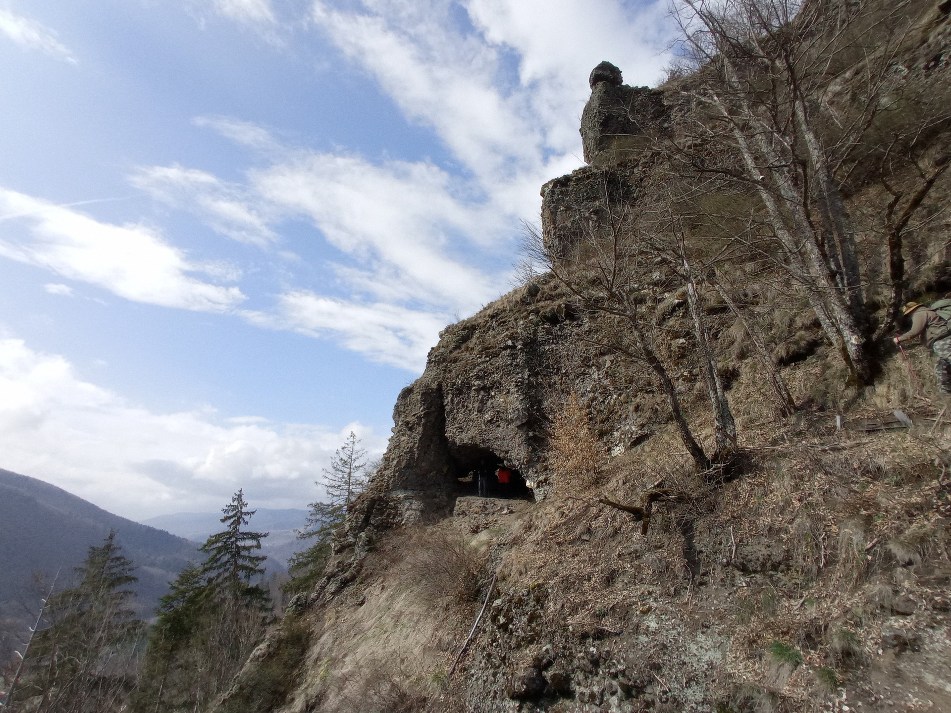 Maros-völgyi fatörzsbarlang 
