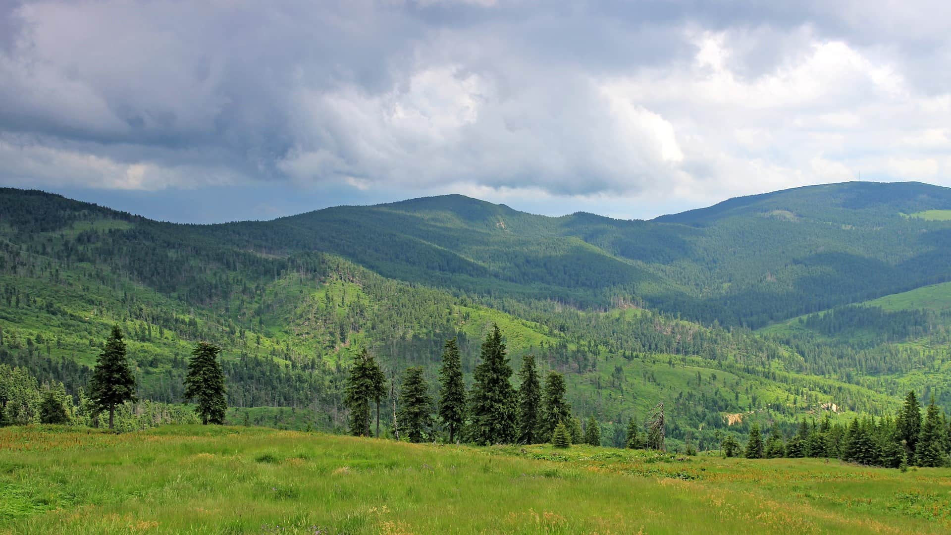 Madarasi-Hargita
