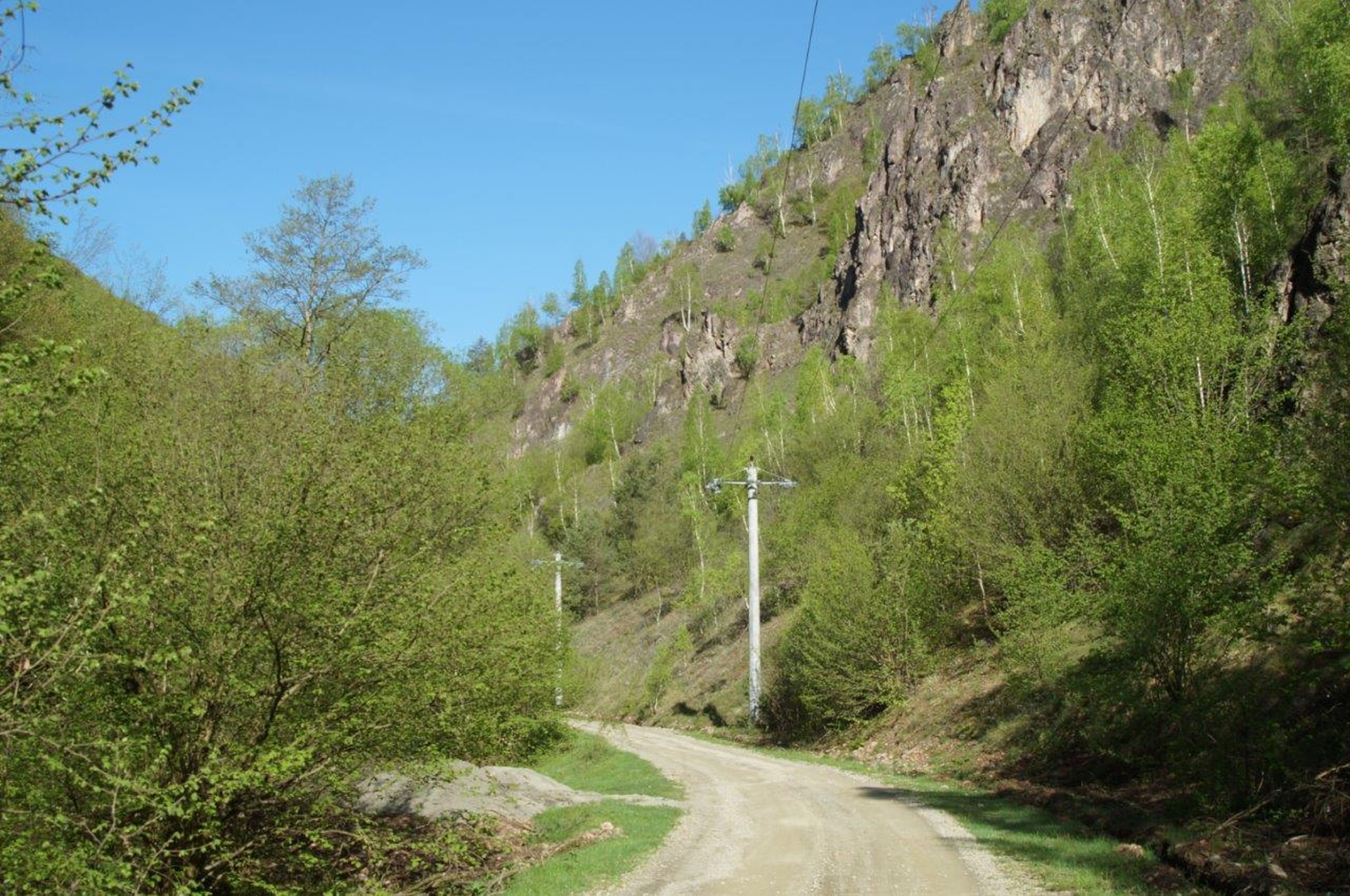 ronk2.jpg