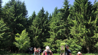 Az erdő nyújtotta hűs árnyékba menekültünk a forróság ellen_FOTÓ Kismihály Boglárka