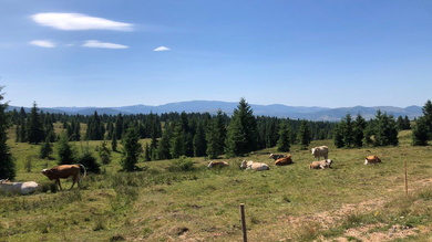 A jól megérdemelt ereszkedés során végre a tájban is gyönyörködhetünk_FOTÓ Kismihály Boglárka