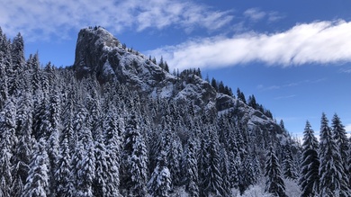 November végén a Sasbérc-kilátóra túrázunk