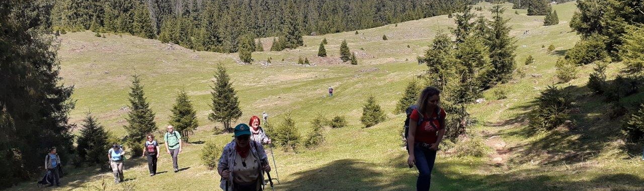 Palczer János emléktúra Pádison_FOTÓ Pál Gyöngyi