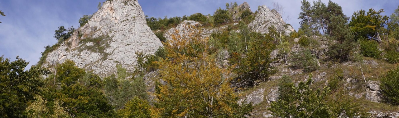 Ronki-szoros