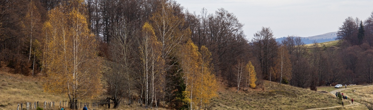 Ősszel a Nagy-hegyen