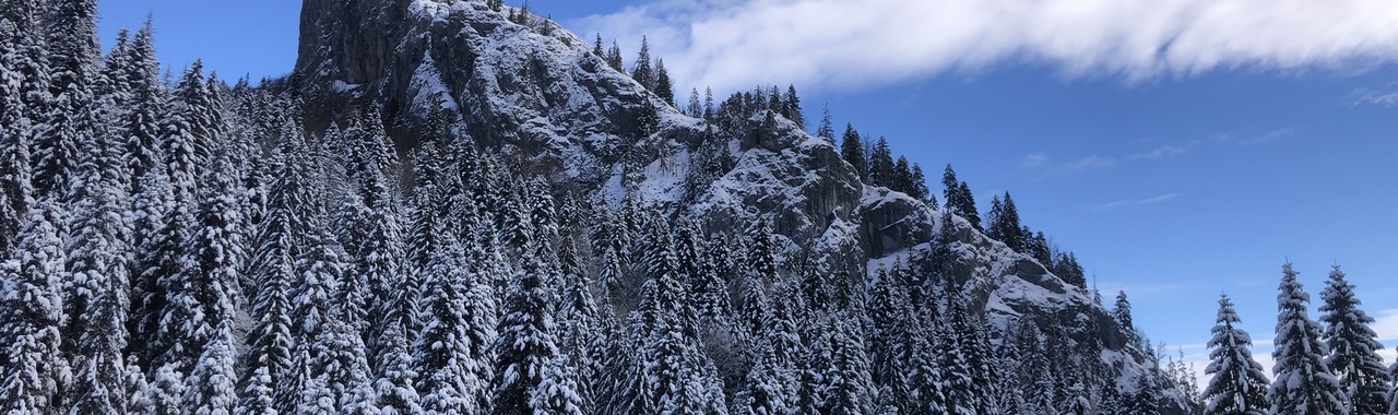 November végén a Sasbérc-kilátóra túrázunk