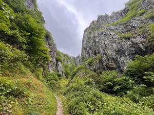 A vadregényes Fehérkői-szurdokvölgy alig 2 km-en számos barlangot, karsztforrást és víznyelőt rejt_FOTÓ Illyés Zsuzsa