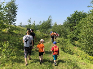 Fehér törzsű, karcsú nyírfák között vezetett utunk az Őzek völgye felé_FOTÓ Kismihály Boglárka