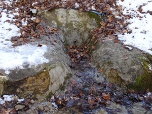 Cérna-forrás