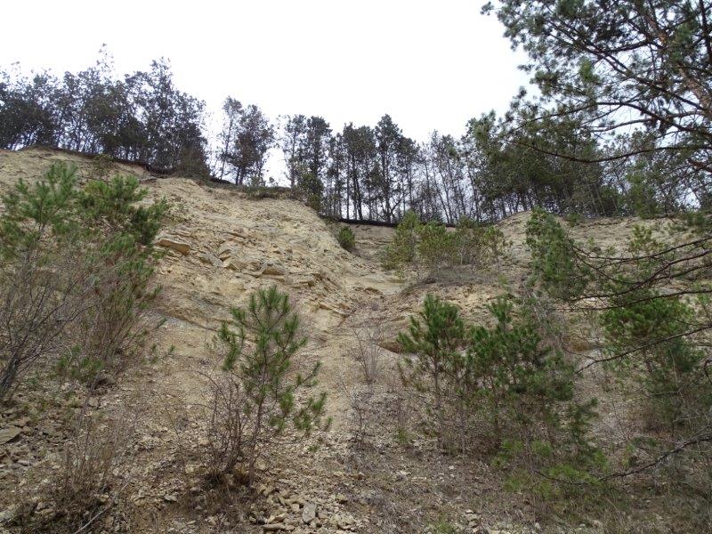 A valamikori régészeti ásatások helyszíne a Bácsi-torokban