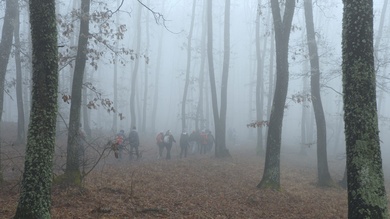 Decemberben megismételjük januári túránkat a kajántói tóhoz.