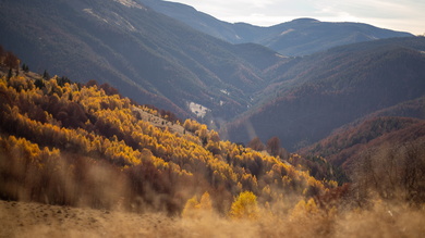 Őszi színkavalkád a Nagy-hegyen (Csíki Gergő felvétele)
