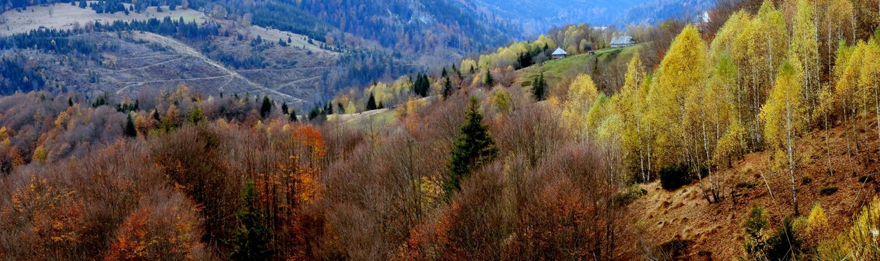 Nagy-hegy ősszel