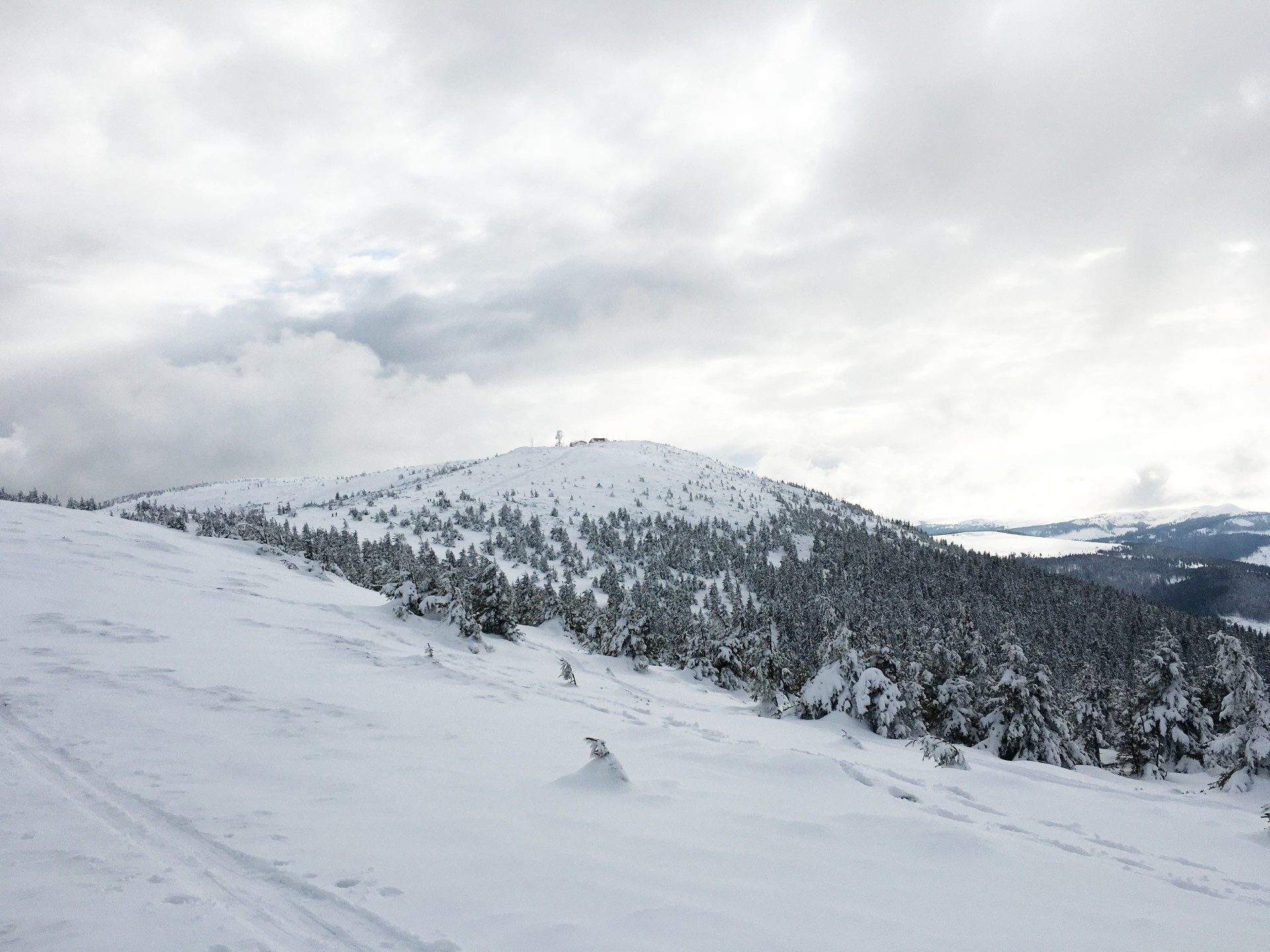 Vlegyásza télen